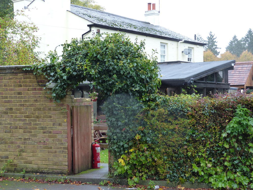 The Sun Inn Englefield Green Екстер'єр фото